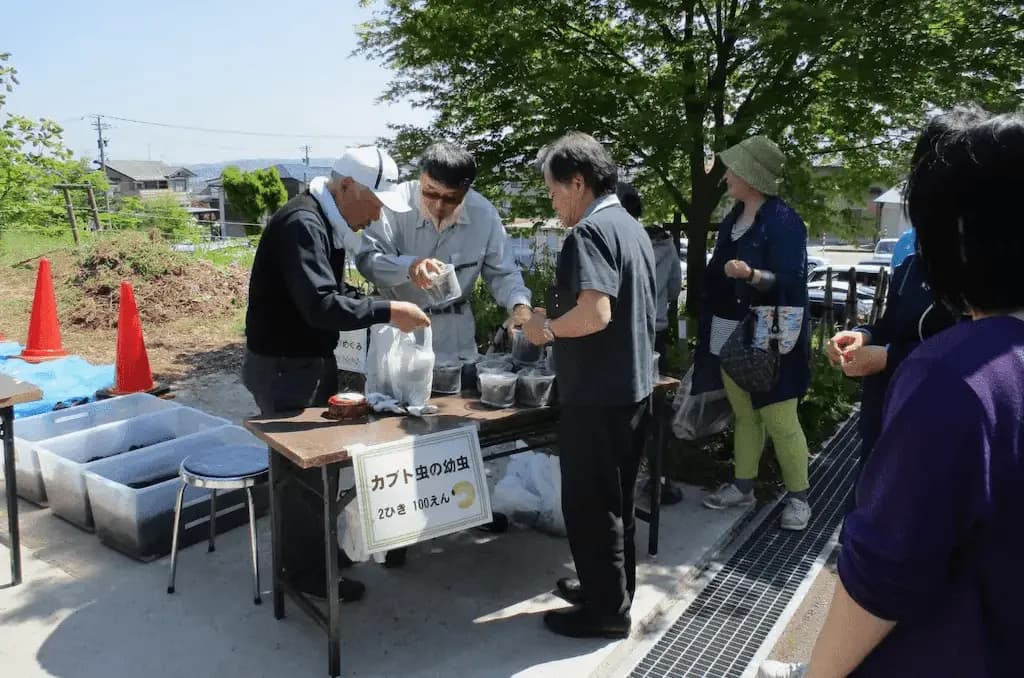 カブトムシの幼虫販売 カブトムシの幼虫販売